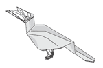 Folding Australia 2007 - Hornbill, Ronald Koh