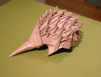 Show highlight: Steven Casey's Echidna